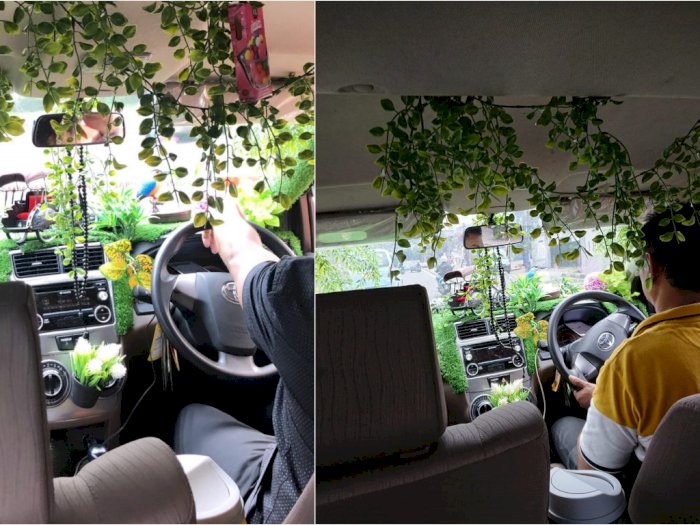 Buat Penumpang Nyaman, Sopir Taksi Online Ini Dekor Mobilnya Pakai Tanaman Hias