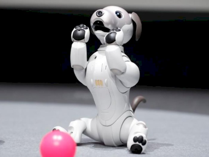 Bak Anjing Sungguhan, Robot Anjing Ini Bisa Menunggu Tuannya