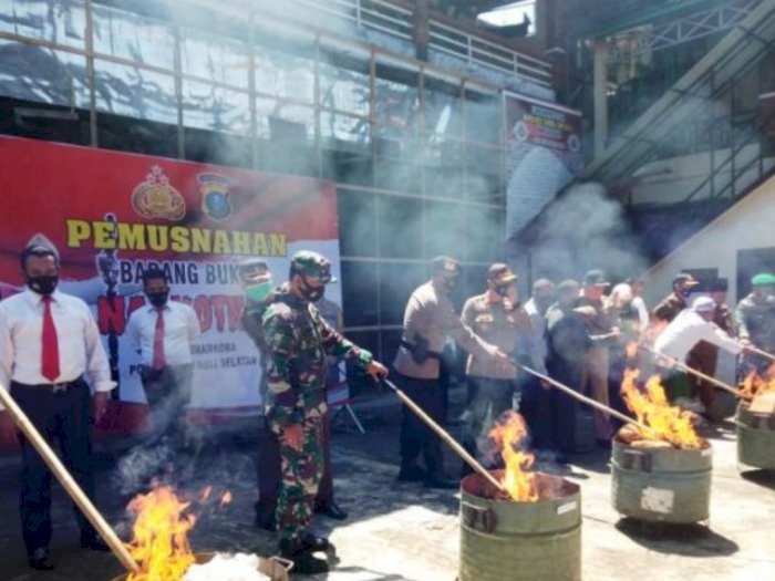 Kapolres Pimpin Pemusnahan 245 Kg Ganja dengan Cara Dibakar