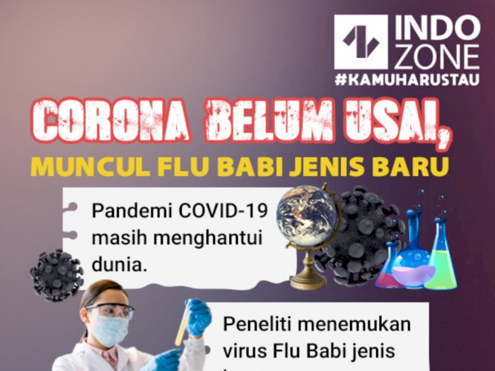 Corona Belum Usai, Muncul Flu Babi Jenis Baru