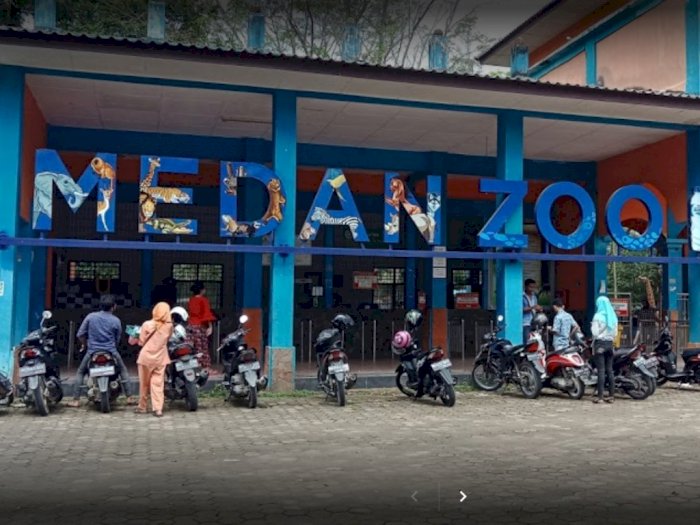 Kebun Binatang Medan Kembali Dibuka 5 Juli