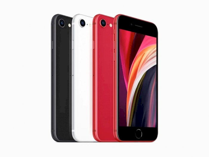 Apple Disebutkan Bakal Rilis Smartphone Baru Penerus iPhone SE 2020!
