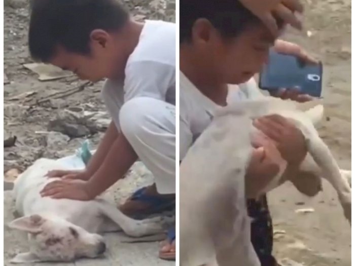 Anak Ini Menangis Tersedu Melihat Anjing Kesayangannya Mati Diduga Dibunuh Orang