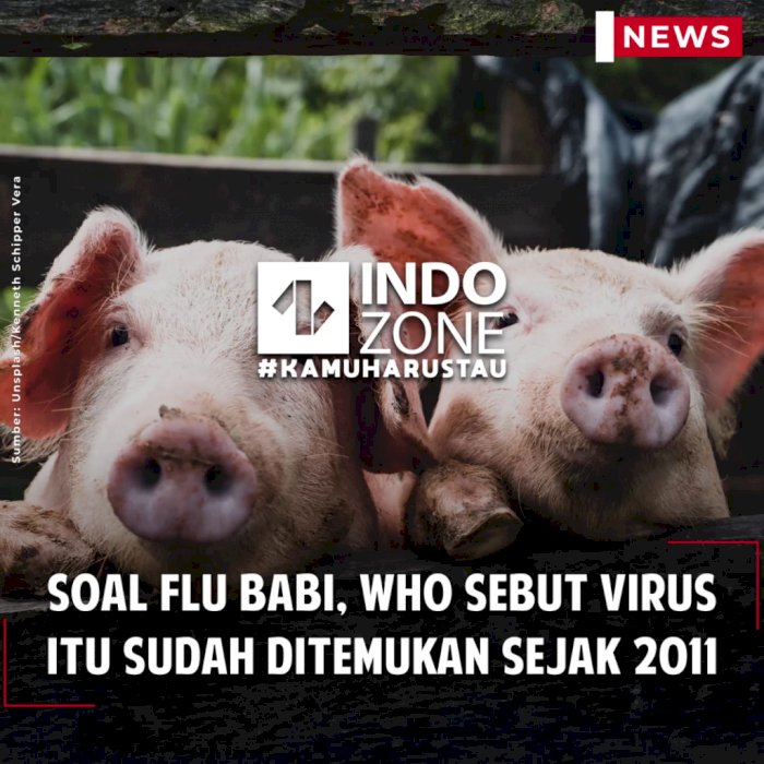 Soal Flu Babi, WHO Sebut Virus Itu Sudah Ditemukan Sejak 2011