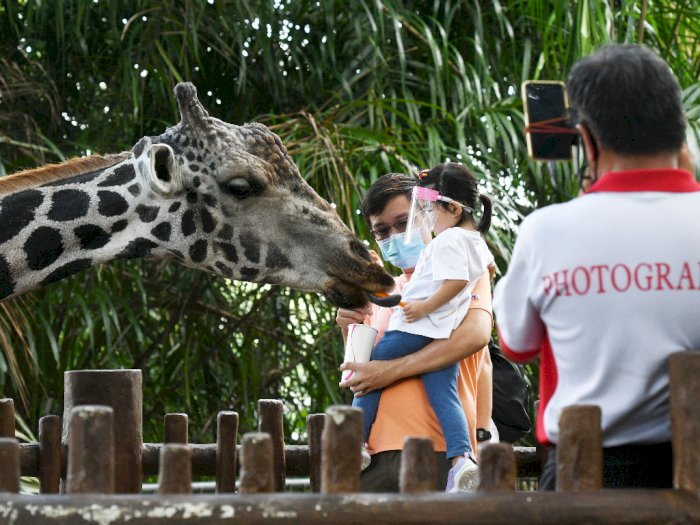 FOTO: Kebun Binatang Singapura Kembali Dibuka