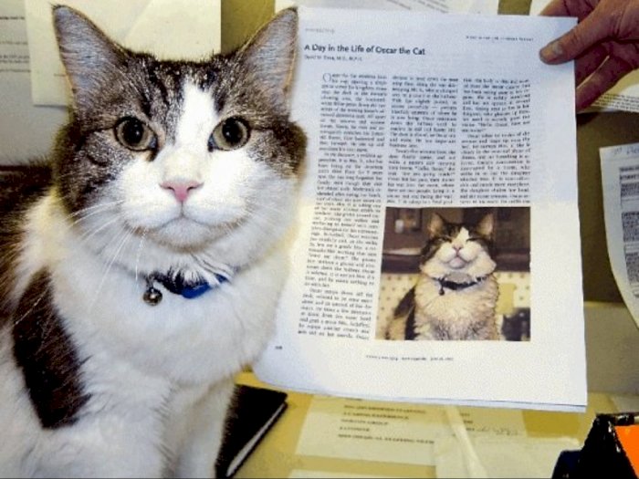 Oscar, Seekor Kucing Peramal Kematian di Panti Jompo