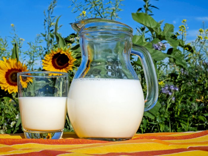 Hati-hati, Minum Susu Mentah Dapat Timbulkan Penyakit