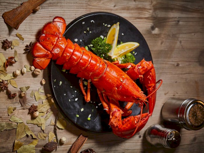 Rasanya Enak dan Dagingnya Tebal, Ini 3 Daerah Penghasil Lobster Terbaik di Indonesia