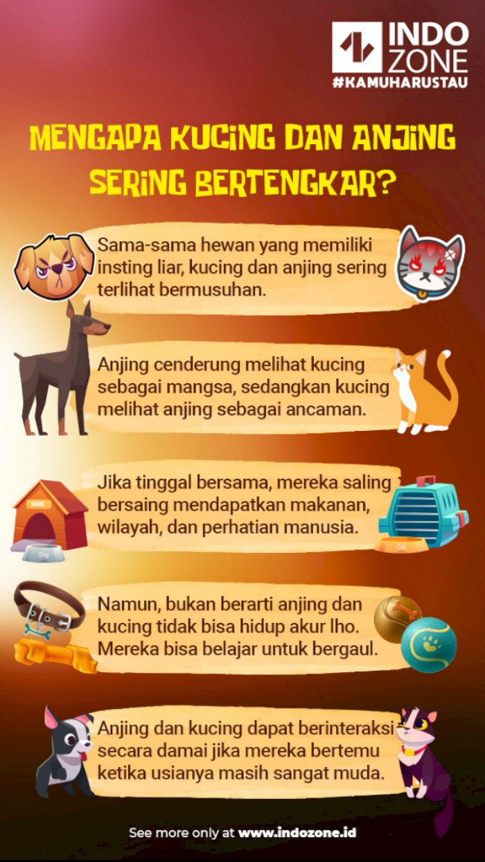 Mengapa Kucing dan Anjing Sering Bertengkar? | Indozone.id