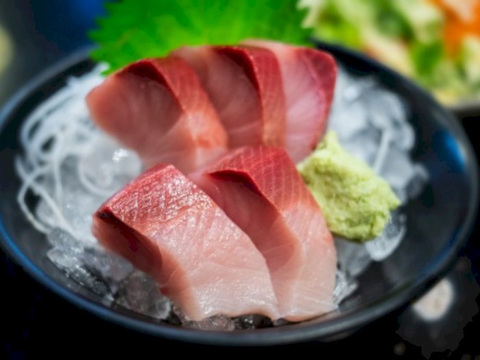 Tak Hanya Salmon dan Tuna, Ternyata Ikan Ekor Kuning Juga Bisa Dimakan Mentah