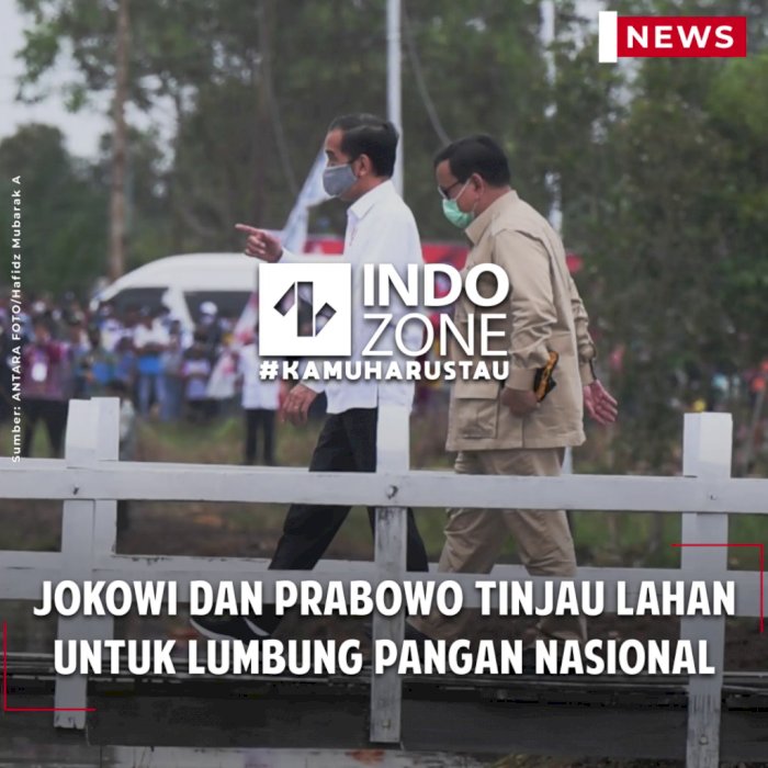 Jokowi dan Prabowo Tinjau Lahan untuk Lumbung Pangan Nasional