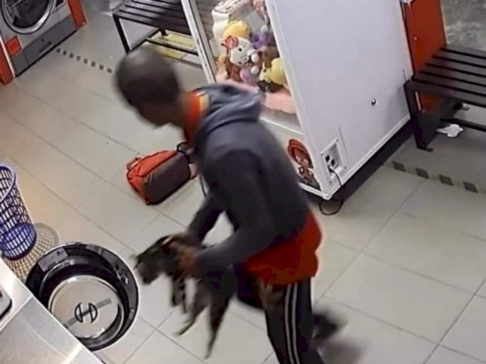 Tega! Pria Ini Tertangkap CCTV Bunuh 3 Kucing Dimasukkan ke Mesin Cuci