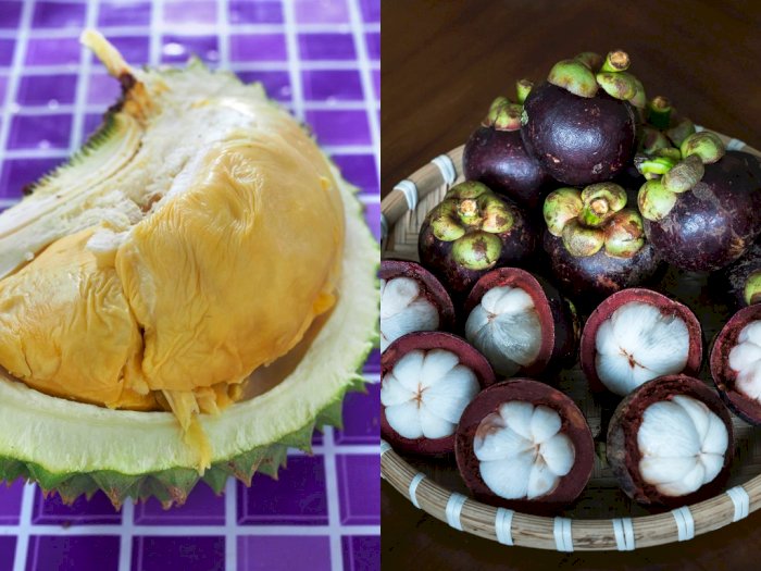 Bahayakah Konsumsi Buah Durian Bersamaan dengan Manggis?