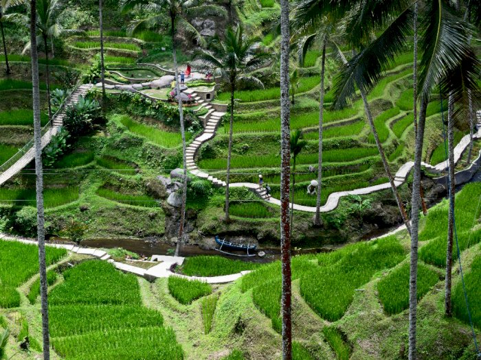 Keren! Ubud, Bali Masuk dalam Daftar Kota Terbaik di Dunia