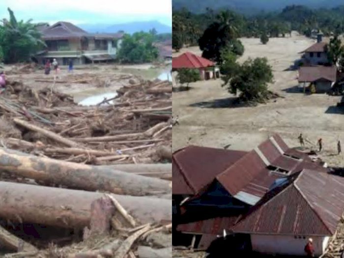 Pembukaan Lahan Picu Banjir Luwu Utara, Rehabilitasi Hutan dan Penegakan Hukum Solusinya