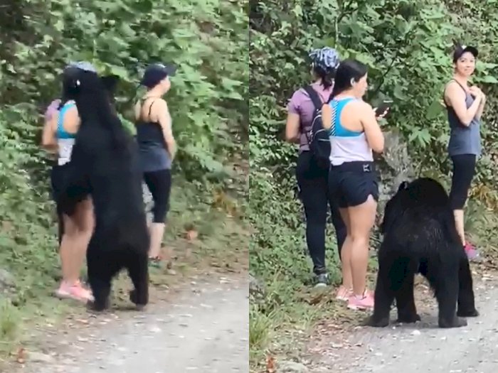 Lagi Jongging, Tiga Wanita Ini Malah Disamperin Beruang, Netizen: Kok Genit Kali!