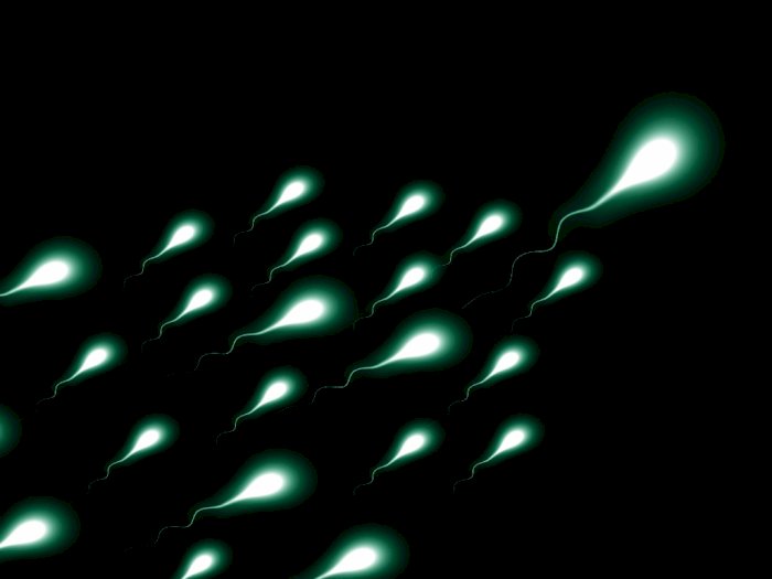 Cegah Mandul, Ini 3 Cara Alami Biar Sperma Sehat
