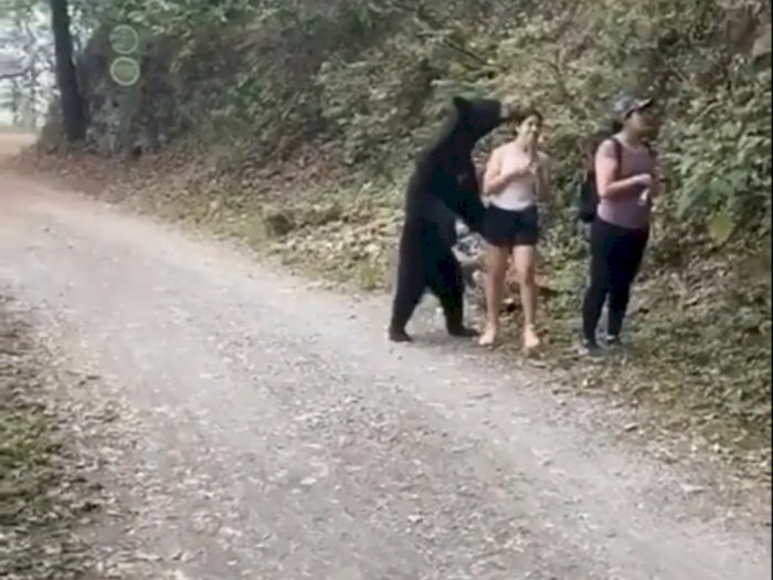 Disamperin Beruang Hitam, Wanita Ini Malah Santuy Sambil Selfie
