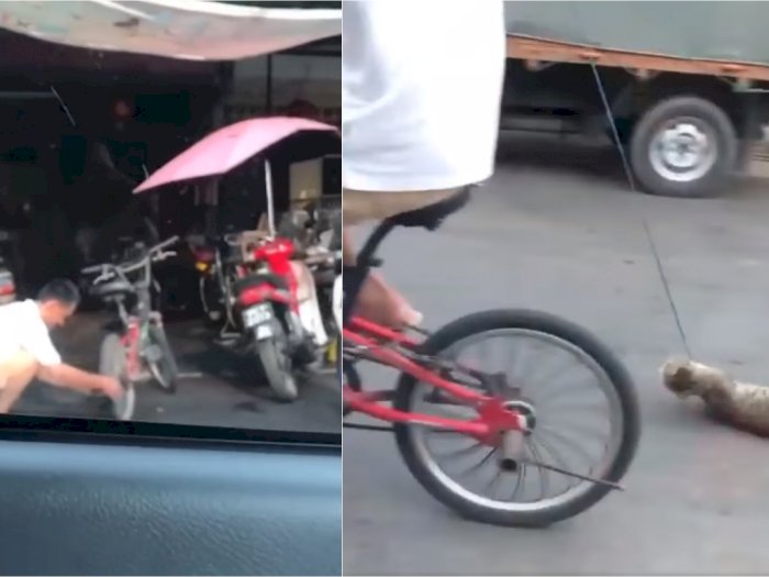Kejam! Pria Ini Ikat Leher Kucing dan Menyeretnya Sepanjang Jalan Memakai Sepeda
