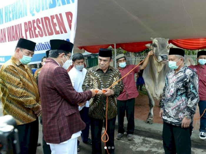 Presiden Jokowi Serahkan Sapi Kurban Seberat 1 Ton ke Masjid Istiqlal
