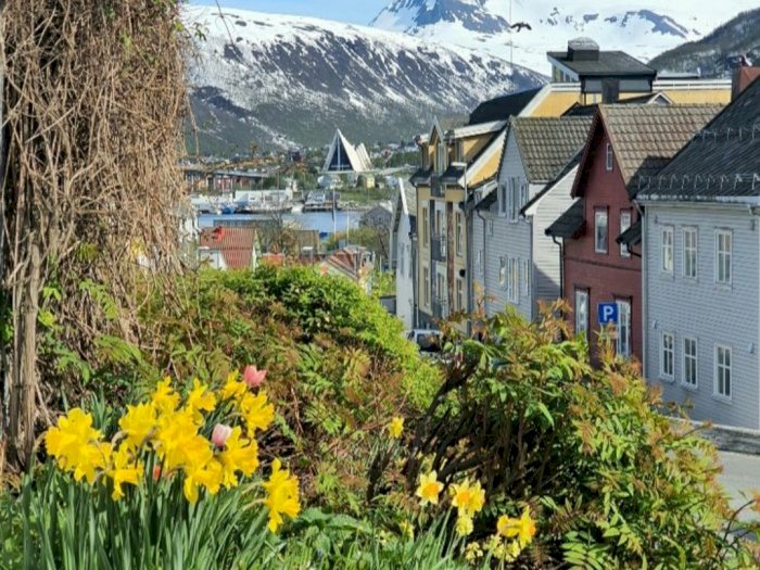 Mengintip Potret Tromso, Kota Bunga di Utara Bumi