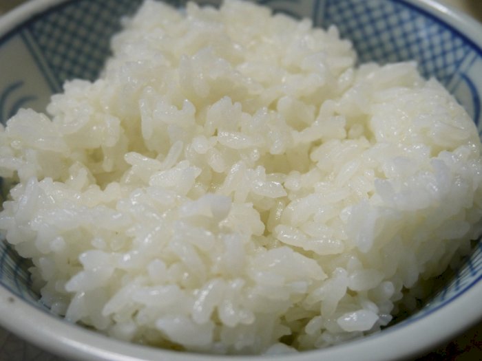 Dianggap Bisa Menambah BB, Ini Manfaat Nasi Putih yang Harus Kamu Ketahui