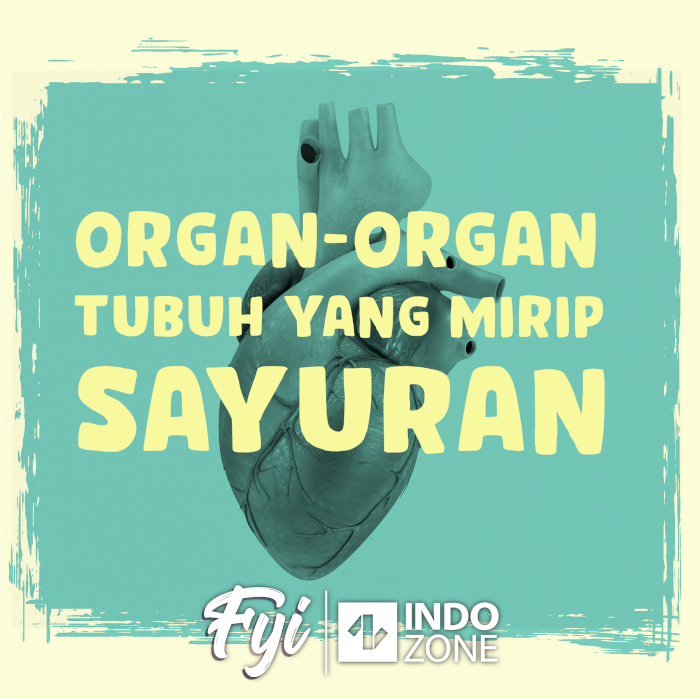 Organ-Organ Tubuh yang Mirip Sayuran