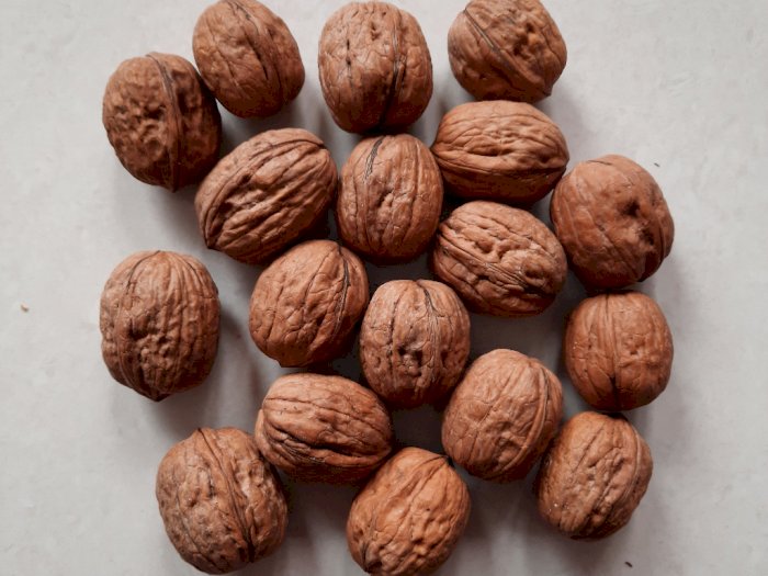 Konsumsi Kacang Kenari Secara Rutin Membantu Terhindar dari Penyakit Jantung