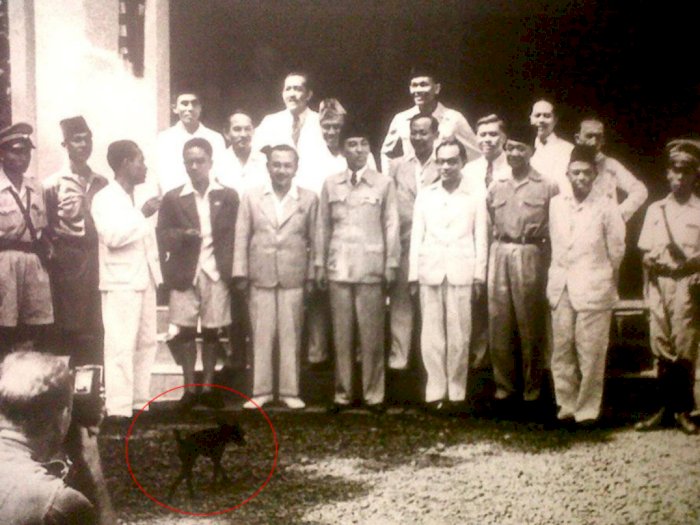 Ada Sosok Anjing Nyelonong, Momen Foto Kabinet Pertama Presiden Soekarno Usai Kemerdekan 