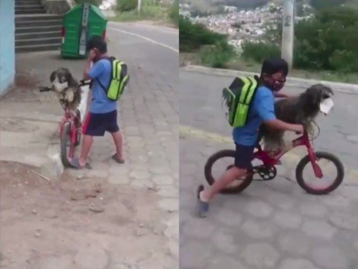 Ajak Jalan-jalan Naik Sepeda, Bocah ini Pakaikan Masker ke Anjing Peliharaannya
