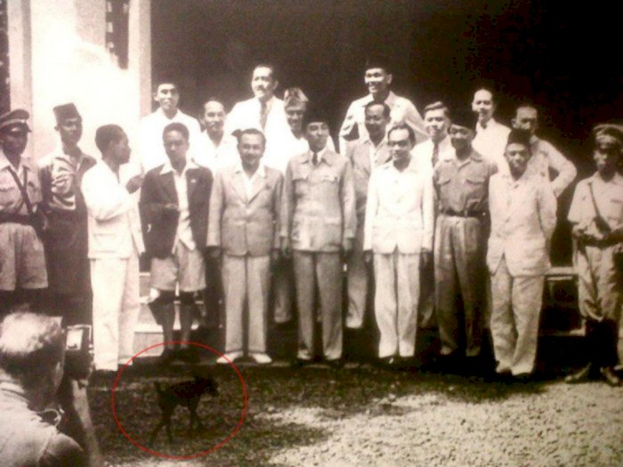 Video Ini Ungkap Ada Anjing dalam Pose Pelantikan Kabinet Pertama Soekarno, Ini Buktinya  