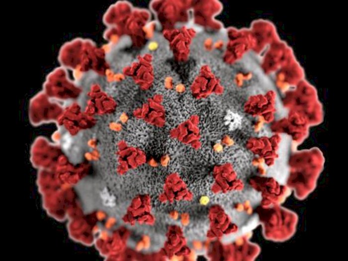 Ngeri! Malaysia Temukan Varian Baru Virus Corona, Katanya Menular 10 Kali Lebih Cepat