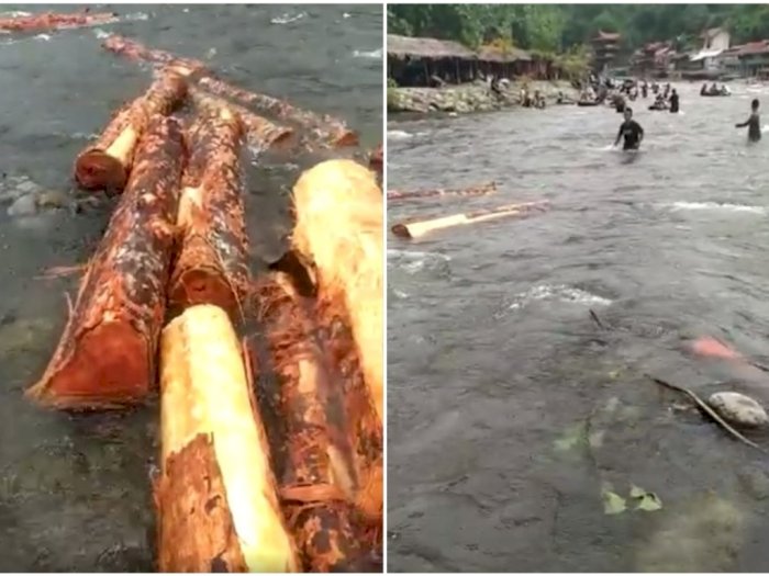 Kayu Gelondongan Mengapung di Sungai Bukit Lawang, Warganet Ingatkan Banjir Bandang  