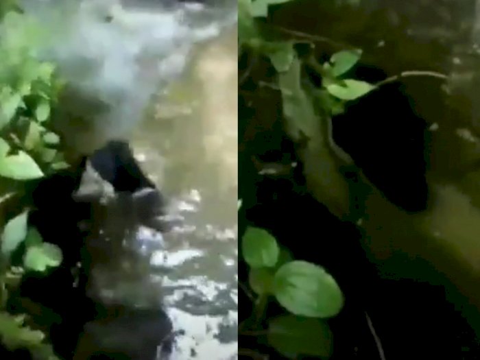 Viral di TikTok, Ada Penampakan Kuntilanak  'Mandi' di Aliran Sungai, Bikin Merinding!