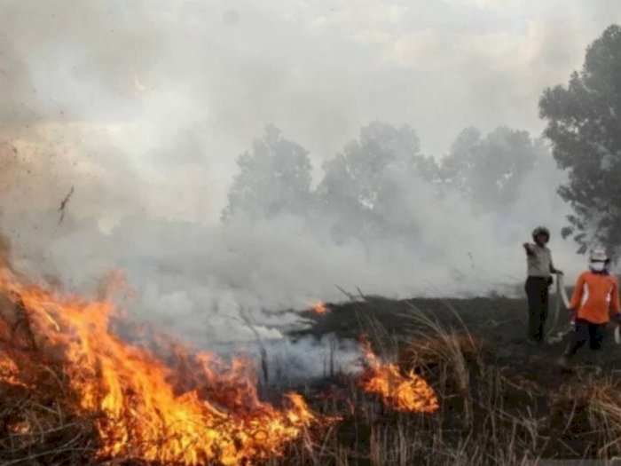 Tersangka Kasus Kebakaran Hutan dan Lahan di Indonesia Capai 112 Orang 