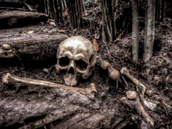 Penemuan Sesosok Manusia Tinggal Tengkorak dan Tulang Belulang Kejutkan Warga Medan Deli 