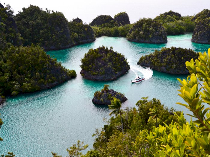 Melirik Pesona Indonesia Timur, Inilah Keajaiban Kepulauan Raja Ampat