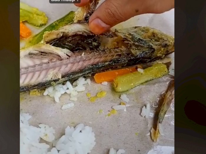 Heboh Ikan Goreng Penuh Belatung di Dalam Nasi Bungkus, Sudah Dimakan Separuh Baru Sadar