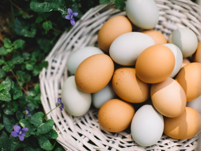 6 Alasan Mengapa Telur Bebek Lebih Baik dari Telur Ayam