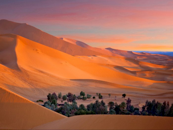 Perubahan Suhu Siang dan Malam yang Luar Biasa di Gurun Sahara 