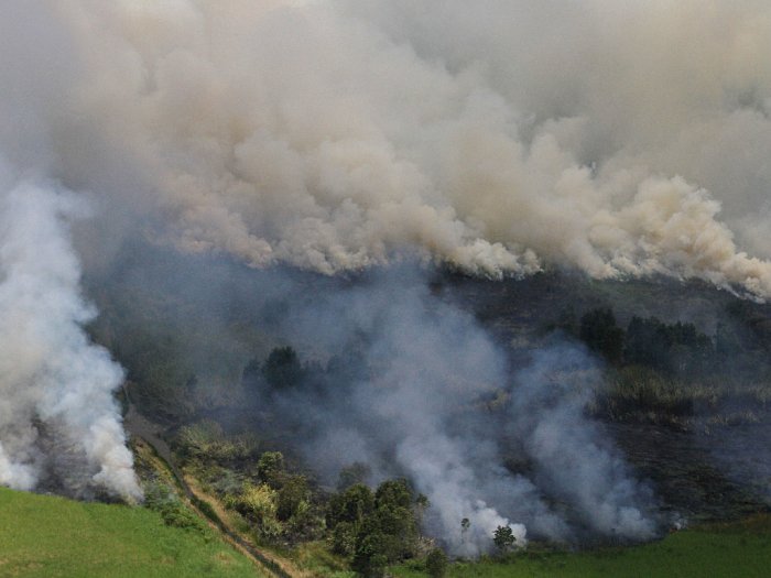 FOTO: Kebakaran Hutan dan Lahan (Karhutla) di Kalimantan Selatan
