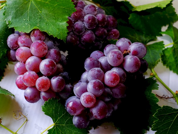5 Manfaat Buah Anggur untuk Kecantikan, Salah Satunya Mengatasi Jerawat
