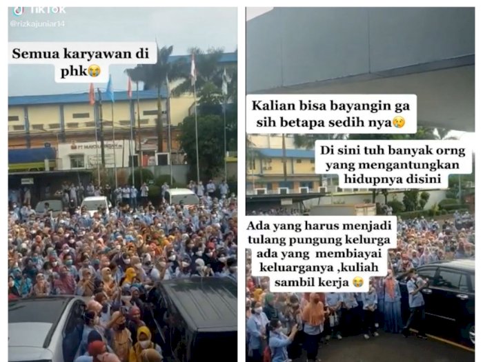 Viral Semua Karyawan Saksikan Pengumuman PHK Massal, Netizen Ikutan Sedih