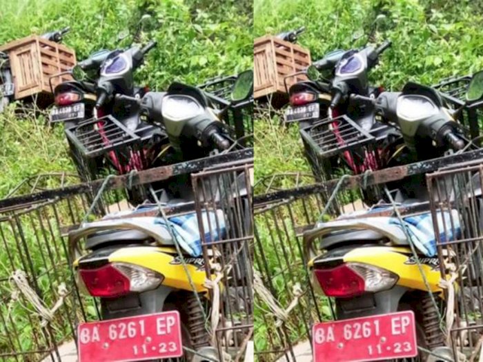Viral di Media Sosial, Kendaraan Dinas PNS Dijadikan Angkutan Berburu Babi