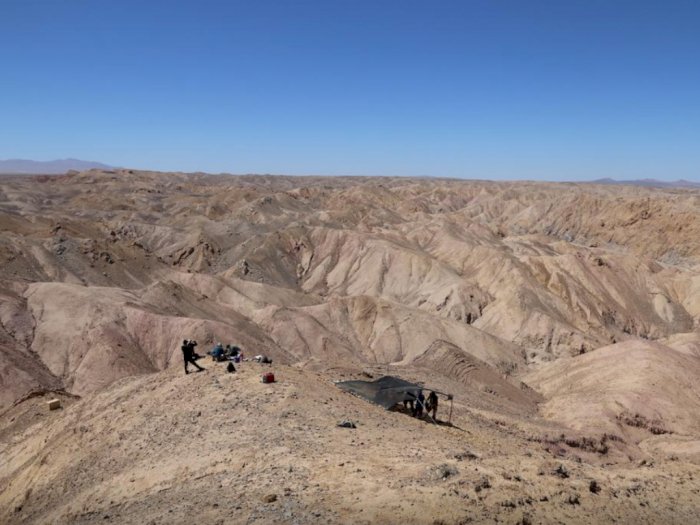 Sisa-Sisa Predator Laut Jurassic Ditemukan di Gurun Terkering Chili