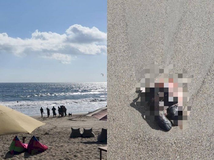 Viral Potongan Kaki Manusia di Pantai Berawa, Bali, Diduga Korban Mutilasi