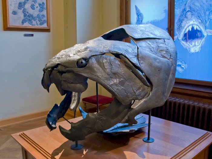 Mengenal Dunkleosteus, Predator Prasejarah yang Ganas