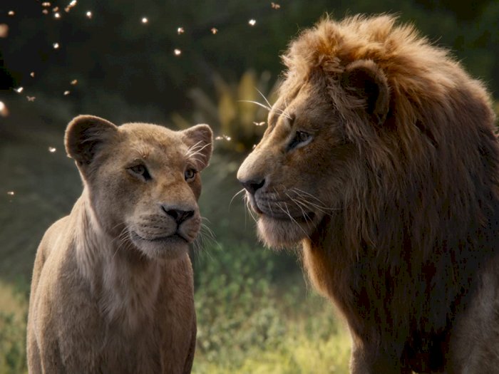 Prekuel "The Lion King" Dalam Pengerjaan Sutradara Barry Jenkins