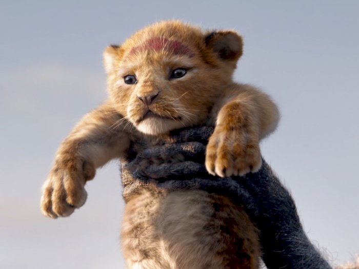 Barry Jenkins akan Jadi Sutradara Sekuel "The Lion King"