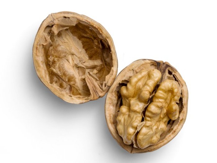 Kacang Kenari, Kacang Berbentuk Otak yang Padat Nutrisi